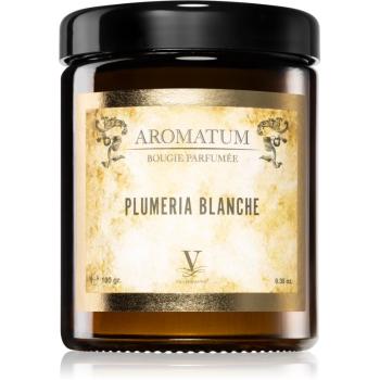 Vila Hermanos Aromatum Plumeria Blanche świeczka zapachowa 180 g