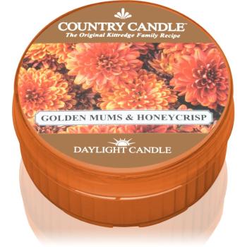 Country Candle Golden Mums & Honey Crisp świeczka typu tealight 42 g
