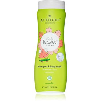 Attitude Little Leaves Watermelon & Coco żel do mycia i szampon dla mężczyzn 473 ml