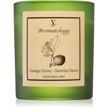 Vila Hermanos Aromatology Orange Cloves świeczka zapachowa 200 g