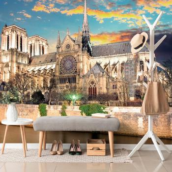 Samoprzylepna fototapeta katedra Notre Dame - 450x300
