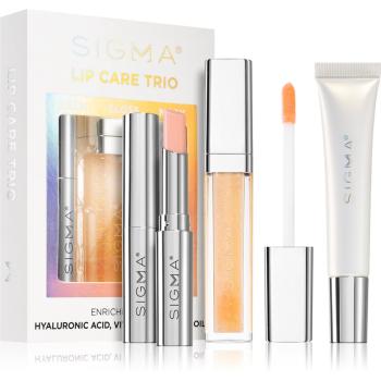 Sigma Beauty Lip Care Trio zestaw (do ust)