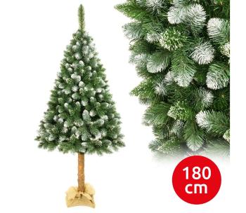 Drzewko bożonarodzeniowe na pniu 180 cm sosna