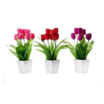 Zestaw 3 kwiatków dekoracyjnych w doniczkach Casa Selección Tulip