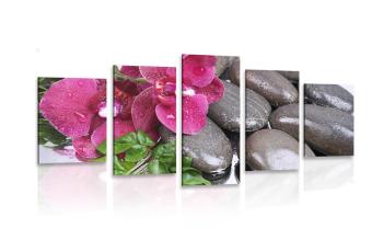 5-częściowy obraz kwitnąca orchidea i kamienie wellness - 100x50