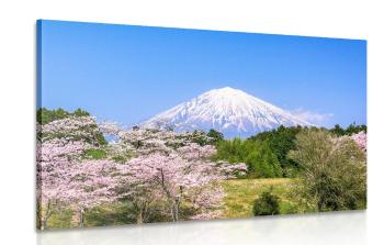 Obraz wulkan Fuji - 90x60