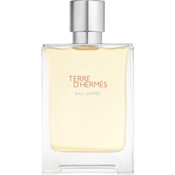 HERMÈS Terre d’Hermès Eau Givrée woda perfumowana dla mężczyzn 100 ml