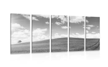 5-częściowy obraz piękny dzień na łące w wersji czarno-białej - 100x50