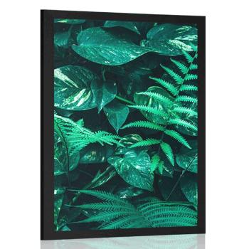 Plakat świeże tropikalne liście - 20x30 black