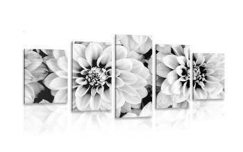 5-częściowy obraz kwiaty dalii w czarnobiałym kolorze - 100x50