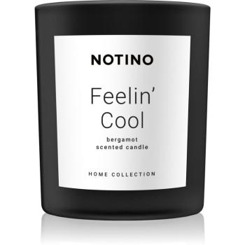 Notino Home Collection Feelin' Cool (Bergamot Scented Candle) świeczka zapachowa 220 g