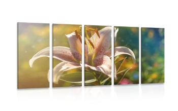 5-częściowy obraz piękny kwiat z nutą retro - 100x50