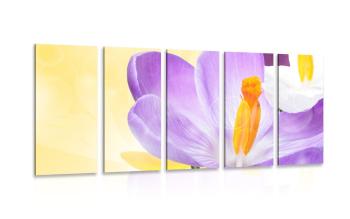 5-częściowy obraz kwiat w wiosennej tonacji - 200x100