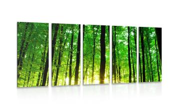 5-częściowy obraz bujny zielony las
