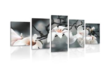 5-częściowy obraz budząca się magnolia - 100x50