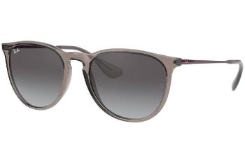 Ray-Ban Erika RB4171 65138G ONE SIZE (54)