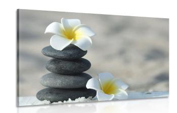 Obraz kamienie harmoniczne i kwiat plumerii - 90x60