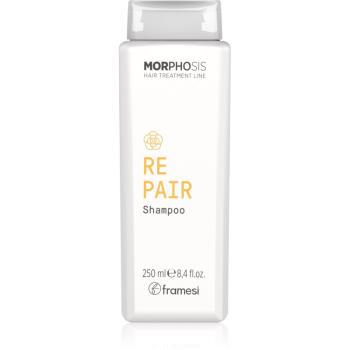 Framesi Morphosis Repair szampon odbudowujący włosy do włosy suchych, zniszczonych 250 ml