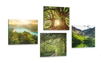 Zestaw obrazów wspaniała zielona przyroda - 4x 40x40