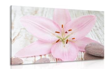Obraz różowa lilia i kamienie Zen - 90x60