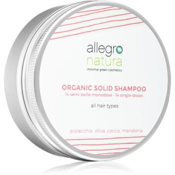 Allegro Natura Organic szampon w kostce 80 ml