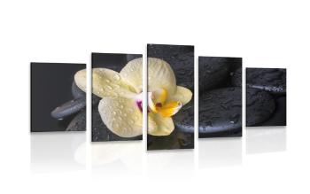 5-częściowy obraz kamienie Zen z żółtą orchideą - 100x50