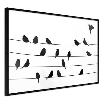 Plakat ptaki na drucie