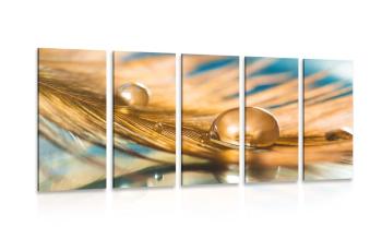 5-częściowy obraz kropla wody na złotym piórku - 200x100