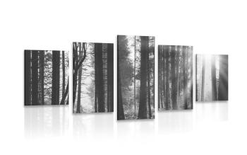 5-częściowy obraz las skąpany w słońcu w wersji czarno-białej