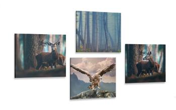 Zestaw obrazów zakamarki lasu - 4x 40x40