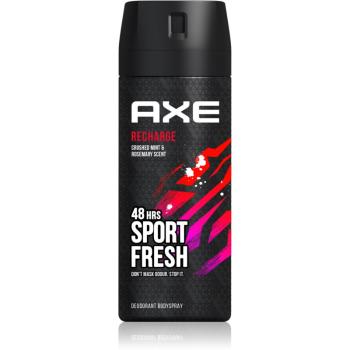 Axe Recharge Crushed Mint & Rosemary dezodorant i spray do ciała 48 godz. 150 ml
