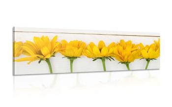 Obraz piękne żółte kwiaty - 135x45