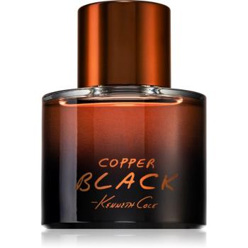 Kenneth Cole Copper Black woda perfumowana dla mężczyzn 100 ml