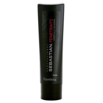 Sebastian Professional Penetraitt szampon do włosów zniszczonych zabiegami chemicznymi 250 ml