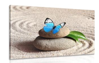 Obraz niebieski motyl w ogrodzie zen