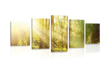 5-częściowy obraz promienie słońca w lesie - 200x100