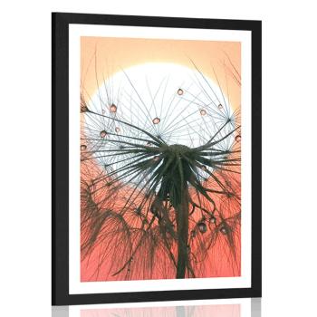 Plakat z passe-partout dmuchawiec o zachodzie słońca - 40x60 black