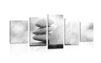 5-częściowy obraz Kamienie Zen i liść w misce w czarnobiałym kolorze - 100x50