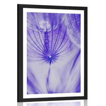 Plakat z passe-partout mniszek lekarski w kolorze fioletowym - 20x30 white