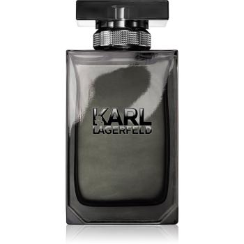 Karl Lagerfeld Karl Lagerfeld for Him woda toaletowa dla mężczyzn 100 ml