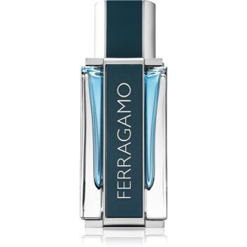 Salvatore Ferragamo Intense Leather woda perfumowana dla mężczyzn 50 ml
