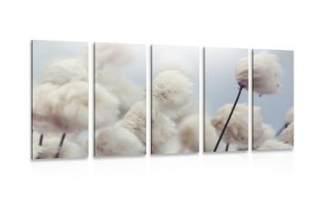 5-częściowy obraz arktyczne kwiaty bawełny - 100x50
