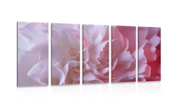 5-częściowy obraz płatki z różowych goździków - 100x50