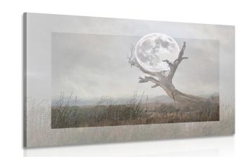 Obraz księżyca w ramionach drzewa - 90x60