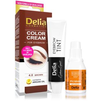Delia Cosmetics Argan Oil farbka do brwi odcień 4.0 Brown 15 ml