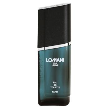 Lomani Pour Homme woda toaletowa dla mężczyzn 100 ml