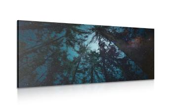 Obraz lasu pod nocnym niebem - 120x60