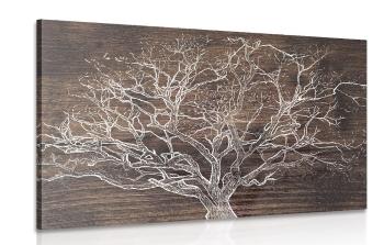Obraz korony drzewa na drewnianym tle - 120x80