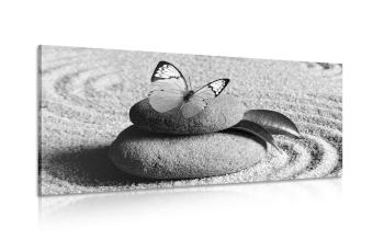Obraz motyl na kamieniu Zen w wersji czarno-białej