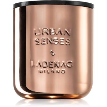 Ladenac Urban Senses Eau De Cypress świeczka zapachowa 500 g
